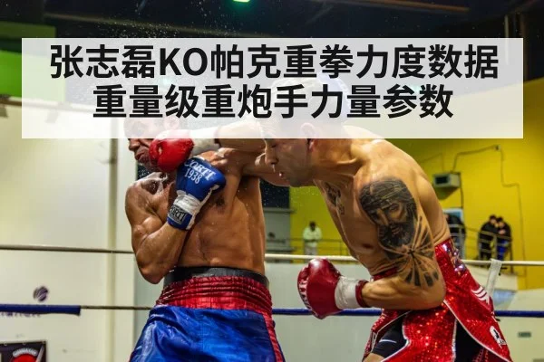 boxing knockout punch