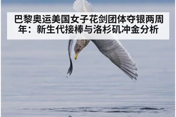 巴黎奥运美国女子花剑团体夺银两周年：新生代接棒与洛杉矶冲金分析