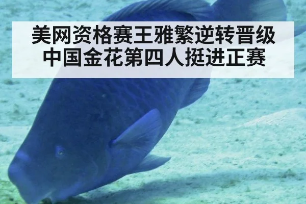 美网资格赛王雅繁逆转晋级 中国金花第四人挺进正赛