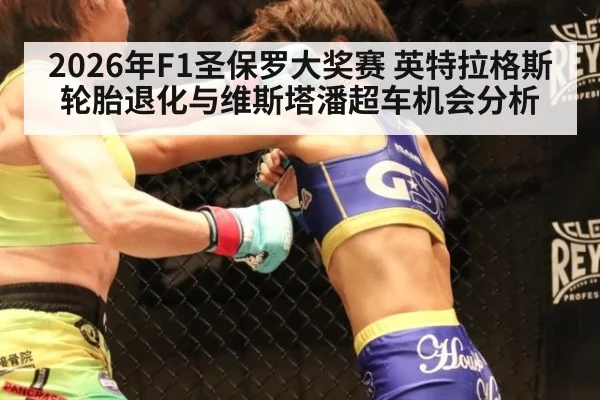 2026年F1圣保罗大奖赛 英特拉格斯轮胎退化与维斯塔潘超车机会分析